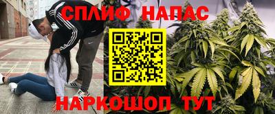 индика Северобайкальск