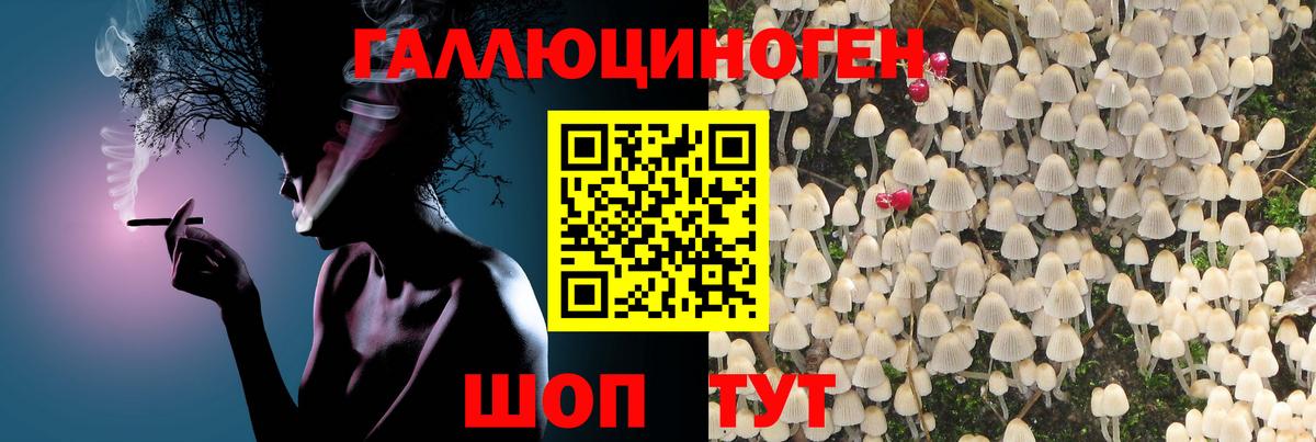 Галлюциногенные грибы прущие грибы  Галлюциногенные грибы ЛСД  Вход с VPN  Сланцы 